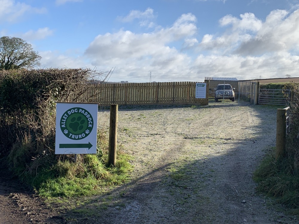 Homepage Allet Dog Paddock