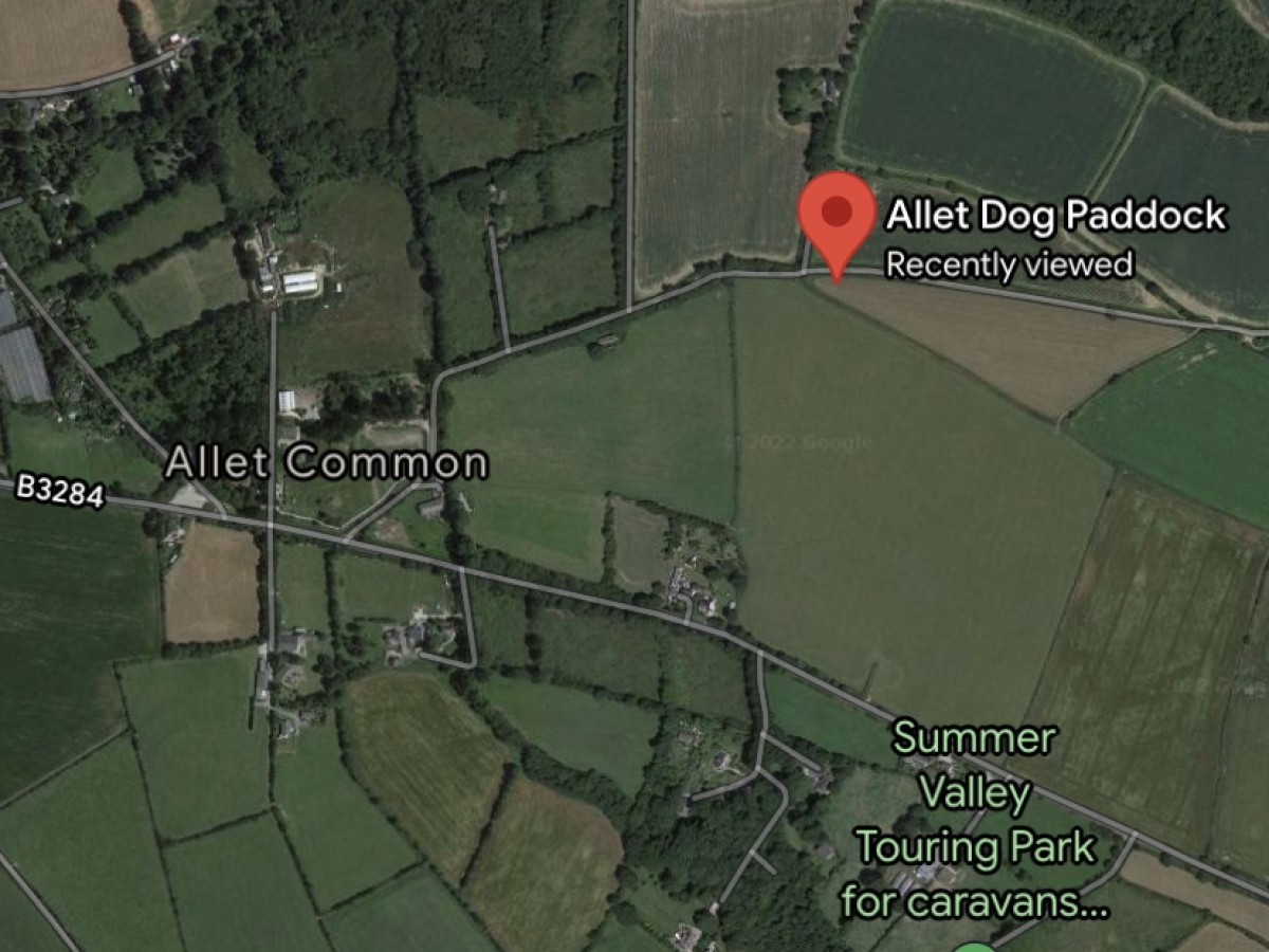 Homepage Allet Dog Paddock